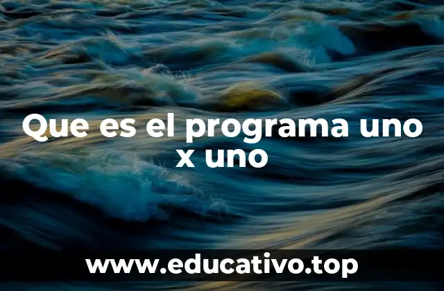 Que es el programa uno x uno