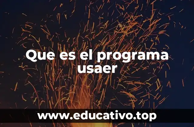 Que es el programa usaer