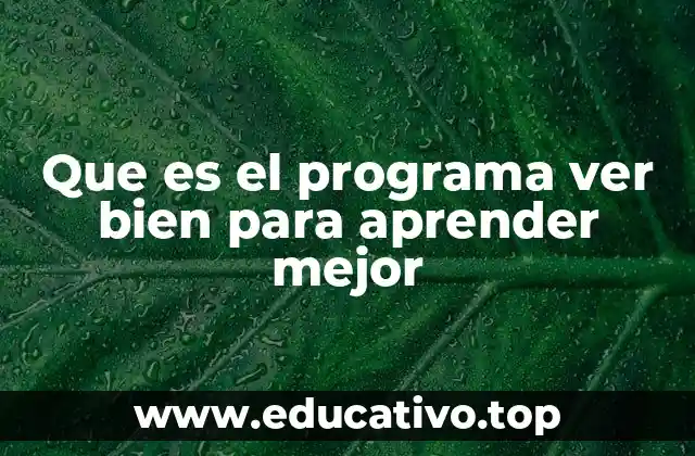 Que es el programa ver bien para aprender mejor