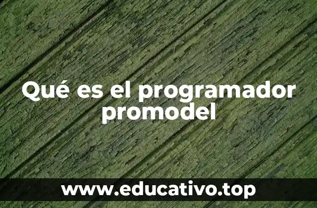 Qué es el programador promodel