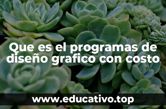 Que es el programas de diseño grafico con costo