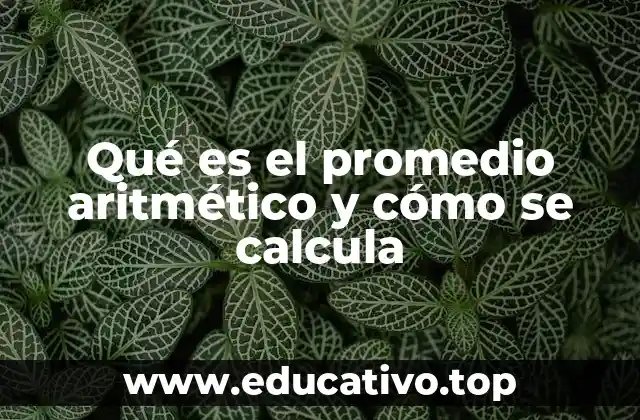 El promedio aritmético en la vida cotidiana