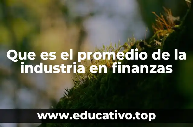 Que es el promedio de la industria en finanzas