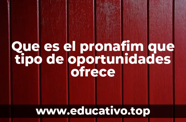 Que es el pronafim que tipo de oportunidades ofrece