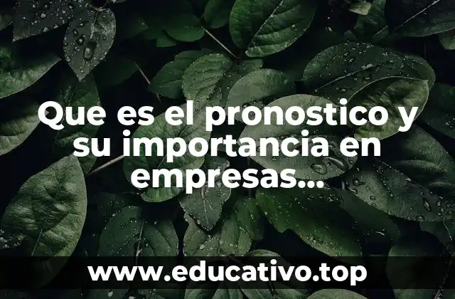 Que es el pronostico y su importancia en empresas manufactureras