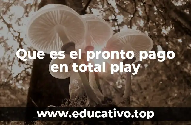 Que es el pronto pago en total play