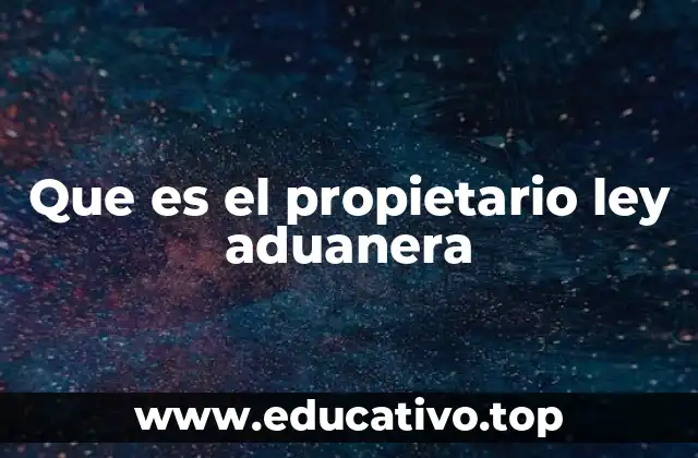Que es el propietario ley aduanera