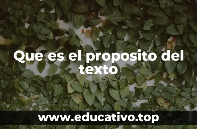 Que es el proposito del texto