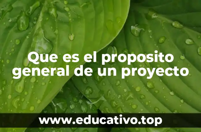 Que es el proposito general de un proyecto