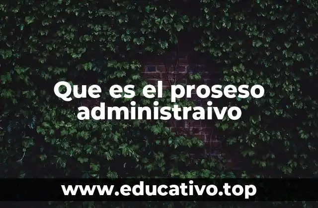 La importancia del proceso administrativo en la gestión organizacional