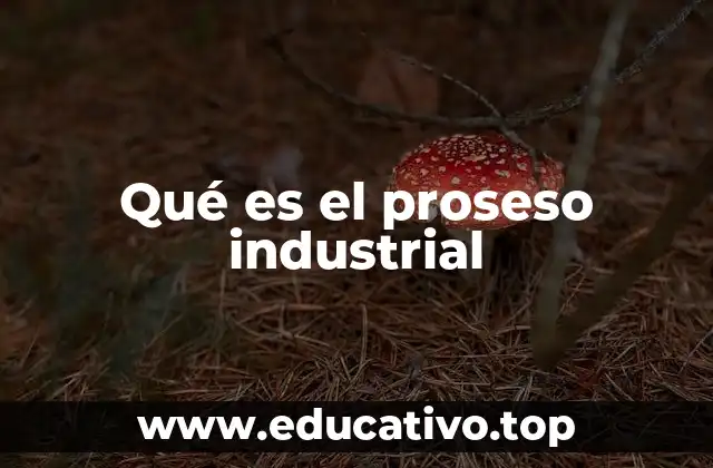 Qué es el proseso industrial