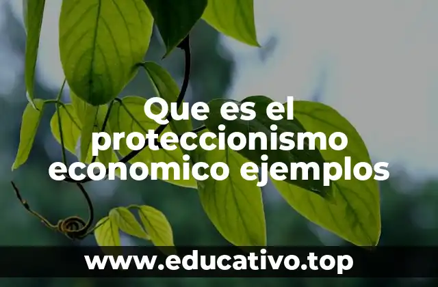 Que es el proteccionismo economico ejemplos