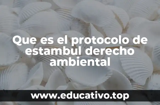Que es el protocolo de estambul derecho ambiental