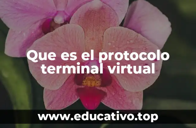 Que es el protocolo terminal virtual
