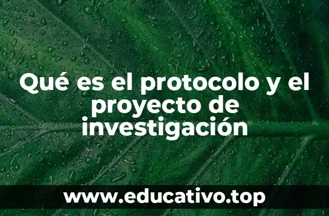 Qué es el protocolo y el proyecto de investigación