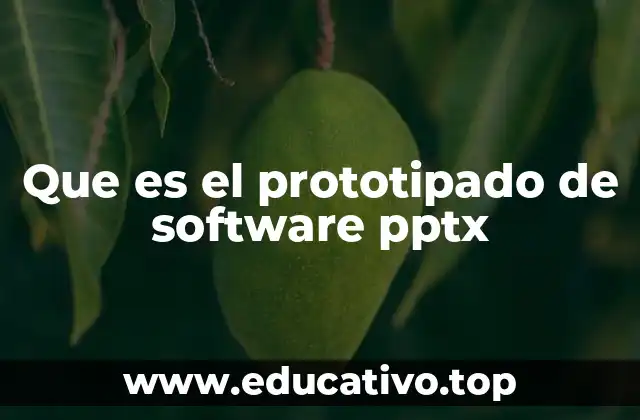 Que es el prototipado de software pptx