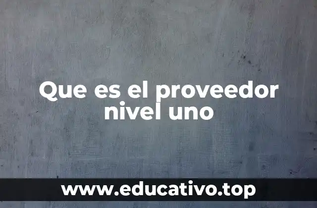 Que es el proveedor nivel uno