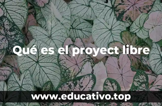 Qué es el proyect libre