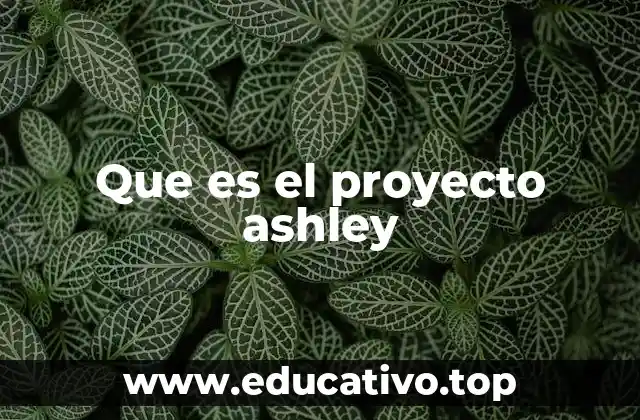 Que es el proyecto ashley