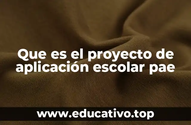 El rol del PAE en el desarrollo integral del estudiante