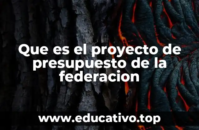 Que es el proyecto de presupuesto de la federacion