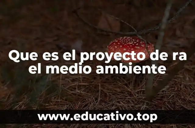 El papel de la educación en la preservación ambiental