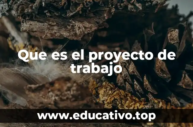 Que es el proyecto de trabajo