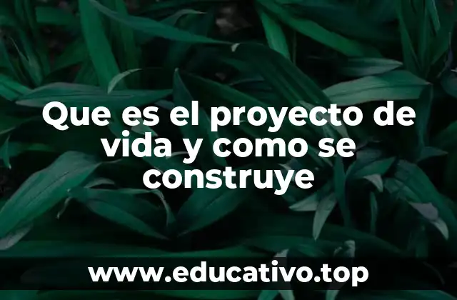 Que es el proyecto de vida y como se construye