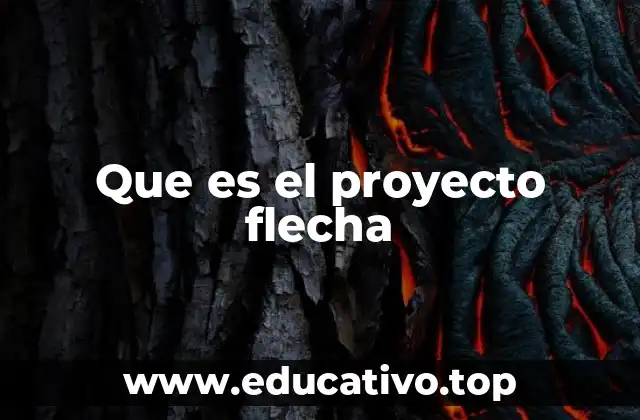 Que es el proyecto flecha