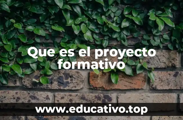 Que es el proyecto formativo