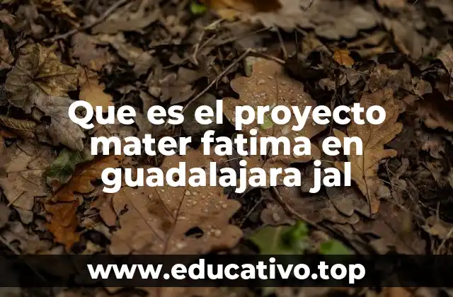 Que es el proyecto mater fatima en guadalajara jal