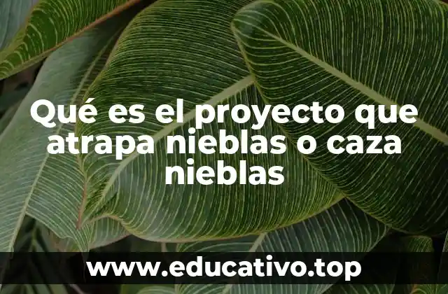 Qué es el proyecto que atrapa nieblas o caza nieblas