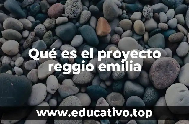 Qué es el proyecto reggio emilia