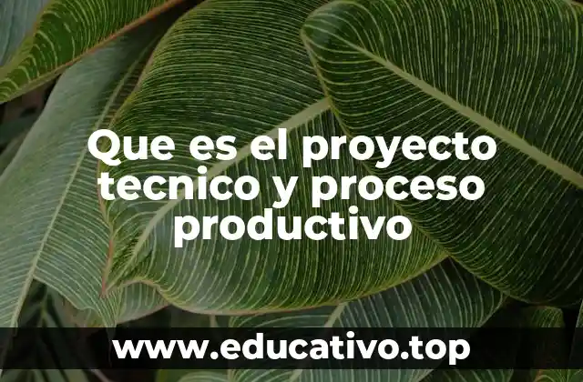 Que es el proyecto tecnico y proceso productivo