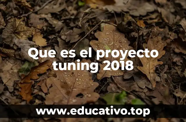 Que es el proyecto tuning 2018