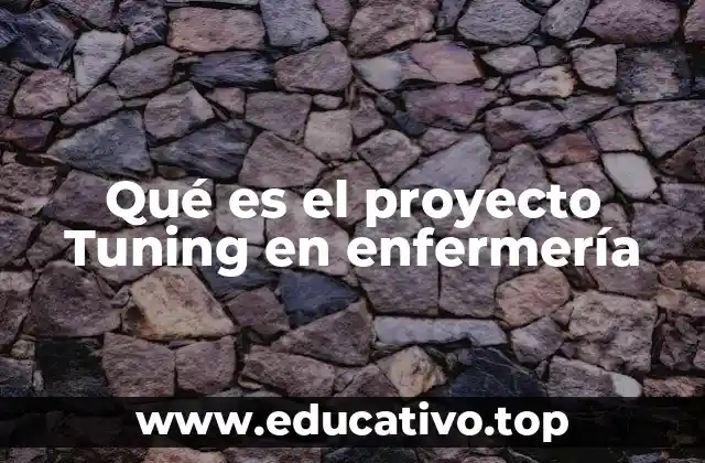 Qué es el proyecto Tuning en enfermería