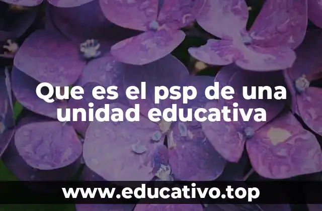 Que es el psp de una unidad educativa