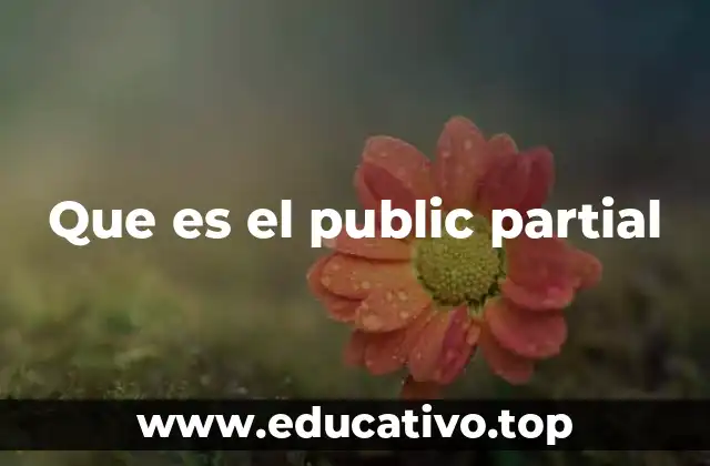 Que es el public partial