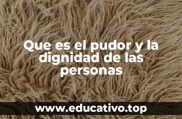 Que es el pudor y la dignidad de las personas