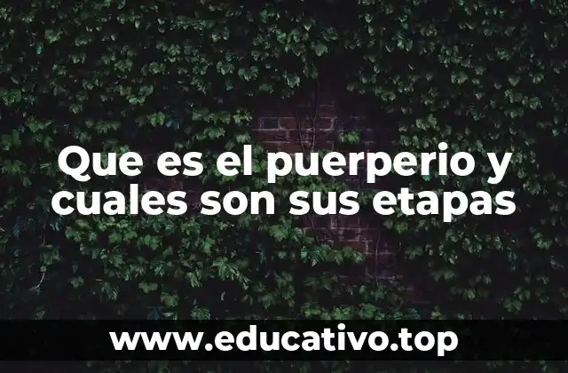 Que es el puerperio y cuales son sus etapas