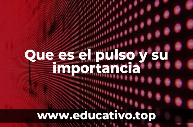 Que es el pulso y su importancia