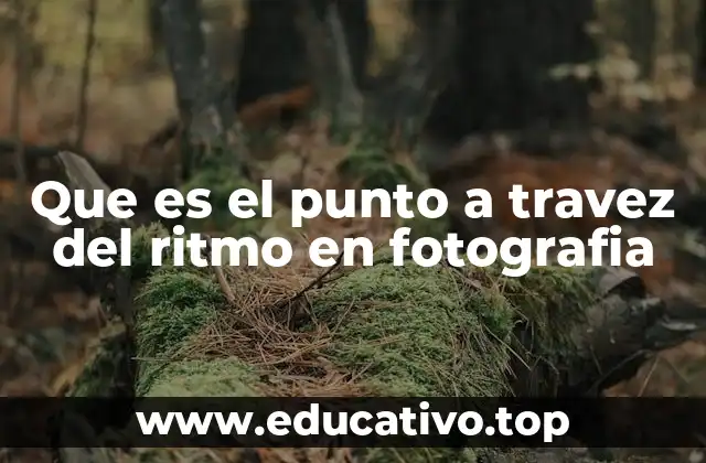 Que es el punto a travez del ritmo en fotografia