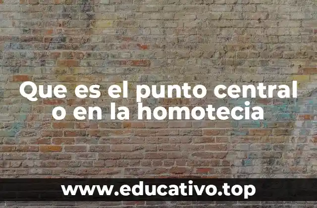 Que es el punto central o en la homotecia