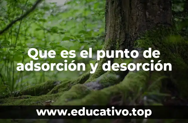 Que es el punto de adsorción y desorción