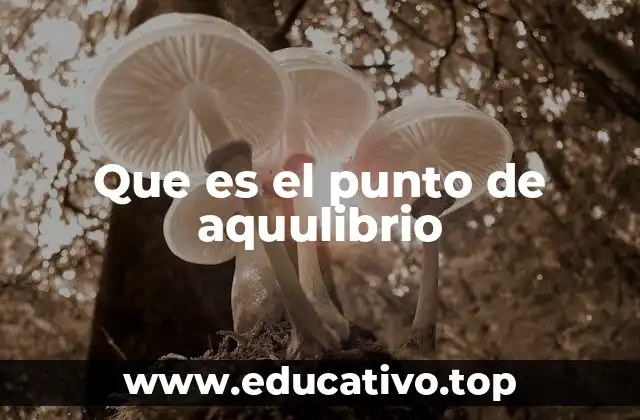 Que es el punto de aquulibrio