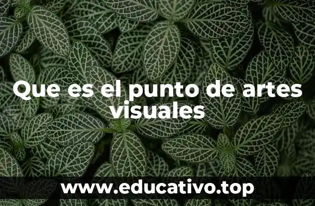 Que es el punto de artes visuales