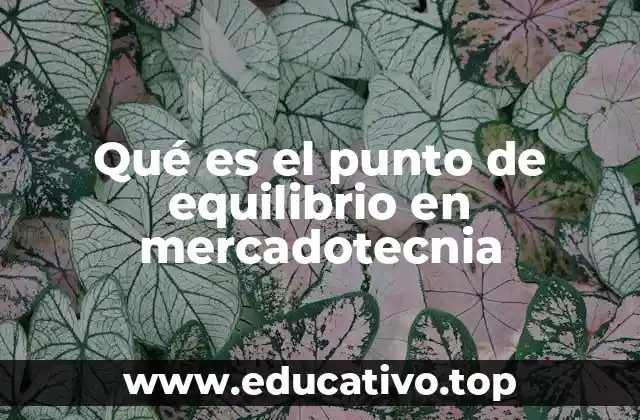 Qué es el punto de equilibrio en mercadotecnia