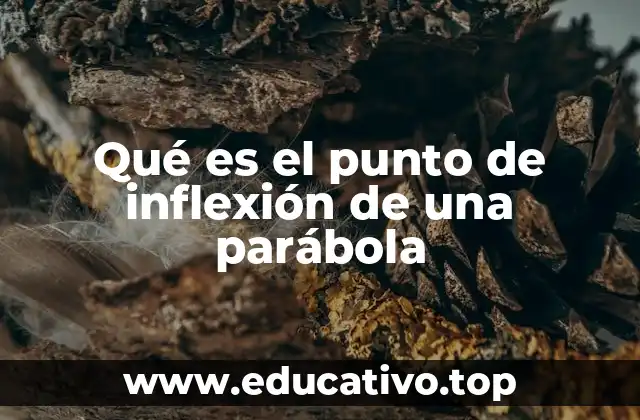 Qué es el punto de inflexión de una parábola