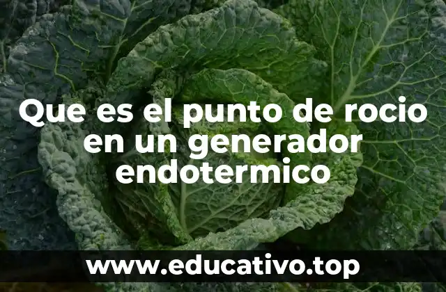Que es el punto de rocio en un generador endotermico