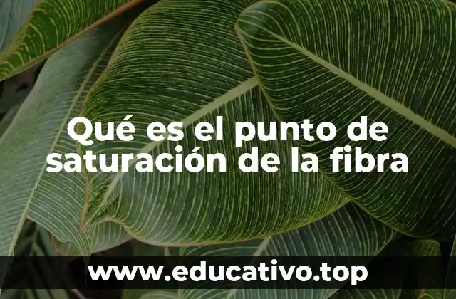 Qué es el punto de saturación de la fibra